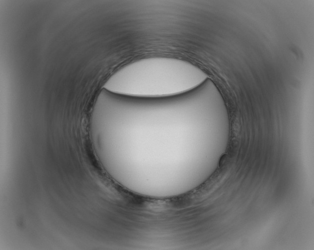 X0000112910079200908241018