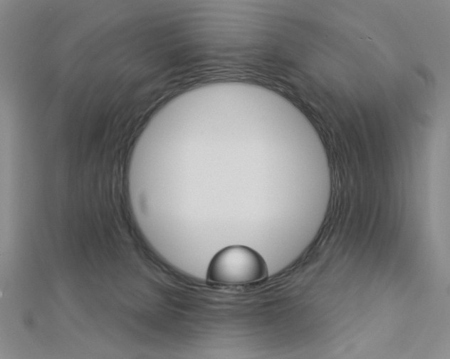 X0000112910080200908241018
