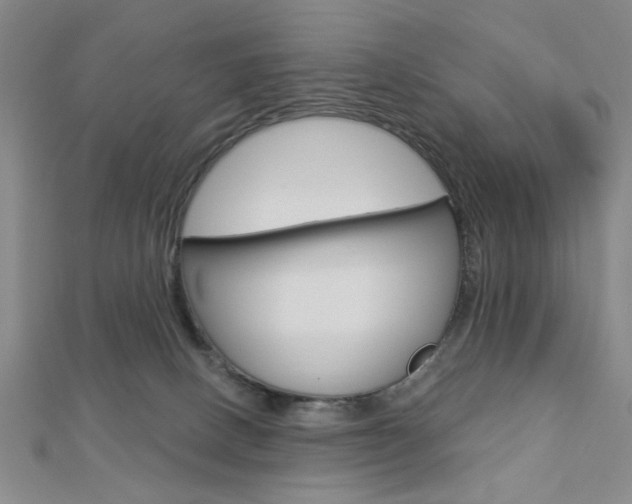 X0000112910082200908241018
