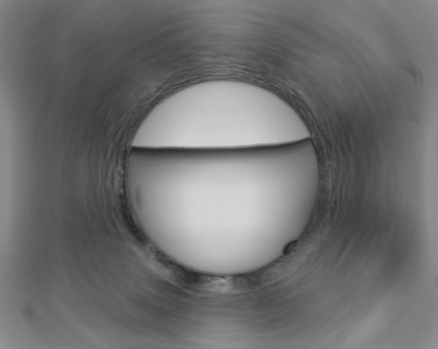 X0000112910083200908241018