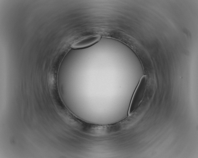 X0000112910084200908241018