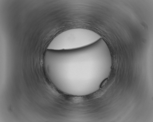 X0000112910085200908241018
