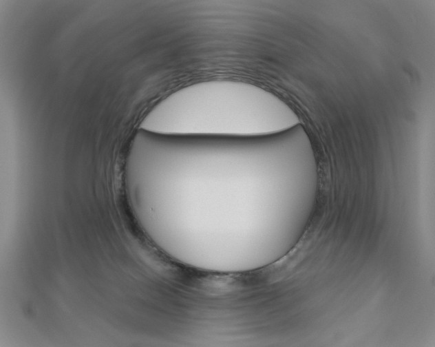 X0000112910086200908241018