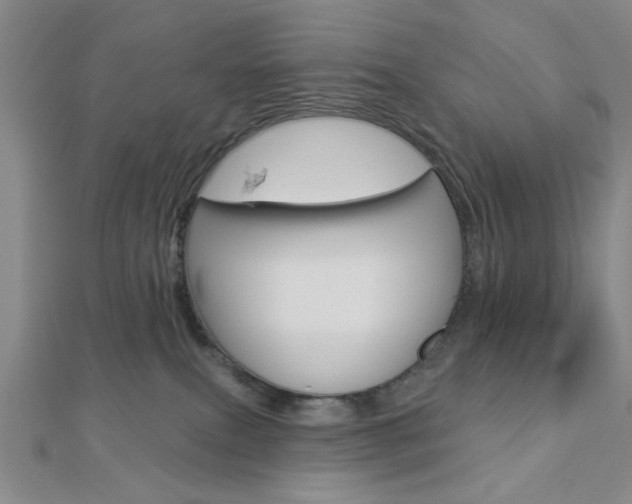 X0000112910087200908241018