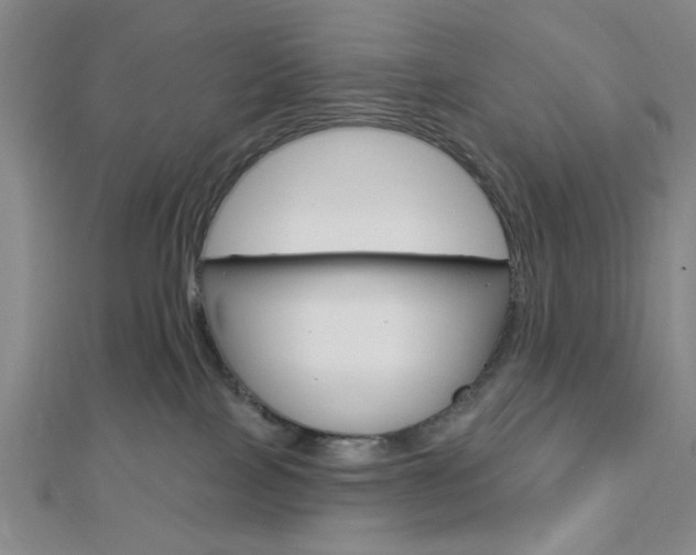 X0000112910089200908241018
