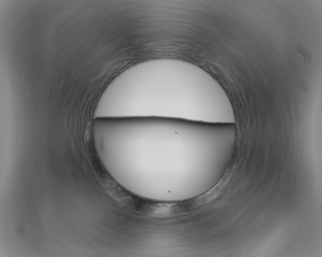 X0000112910090200908241018