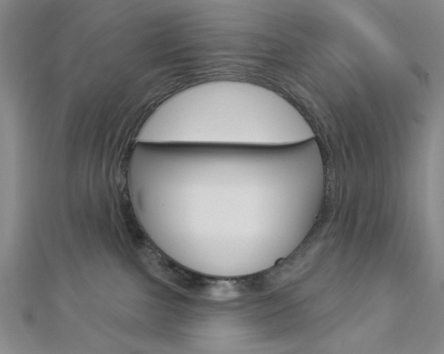 X0000112910091200908241018