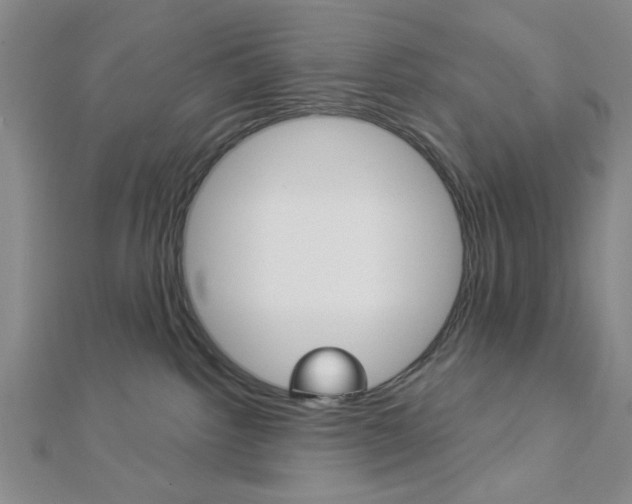 X0000112910092200908241018