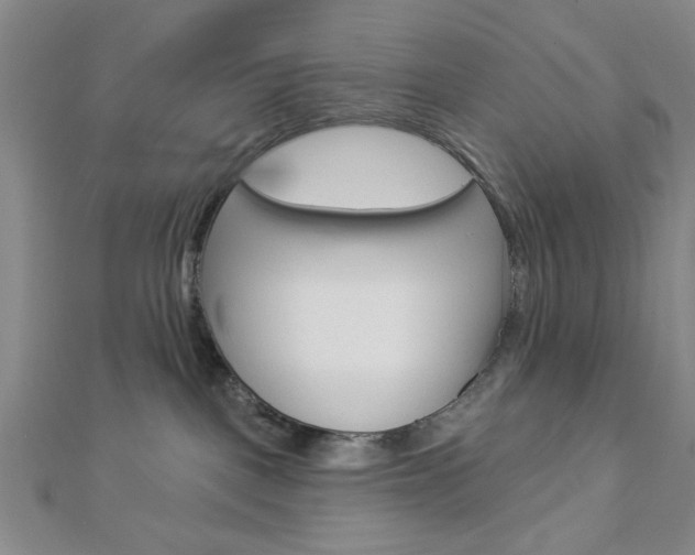 X0000112910093200908241018
