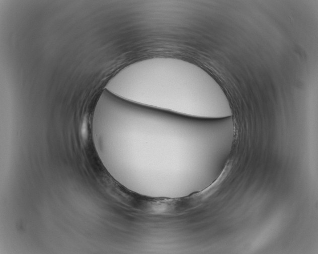 X0000112910094200908241018
