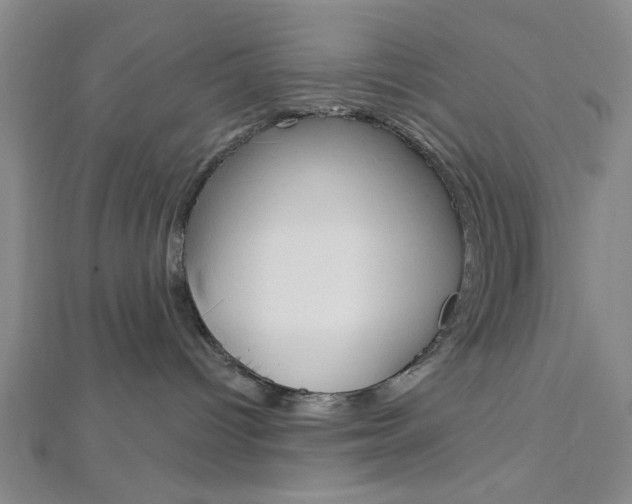 X0000112910096200908241018