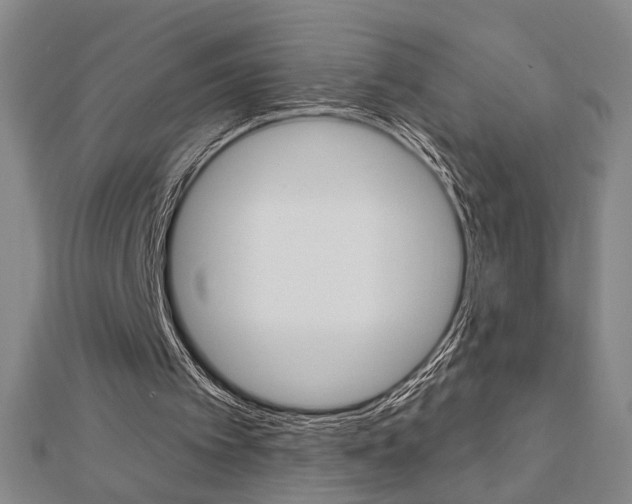 X0000112910097200908241017