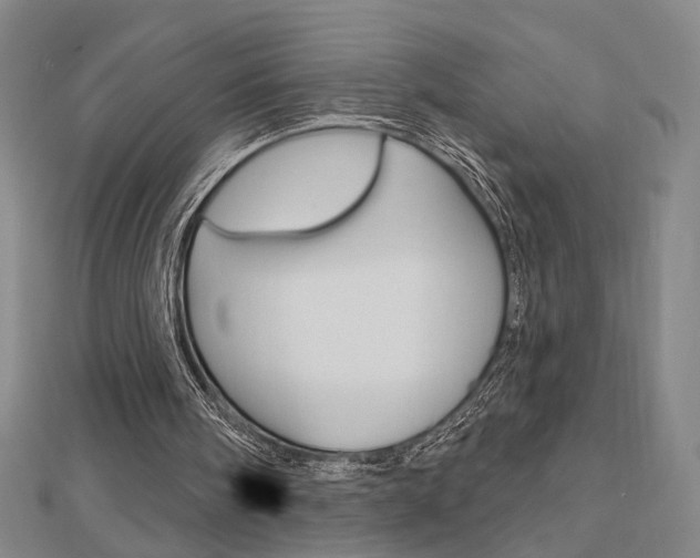 X0000112910098200908241017