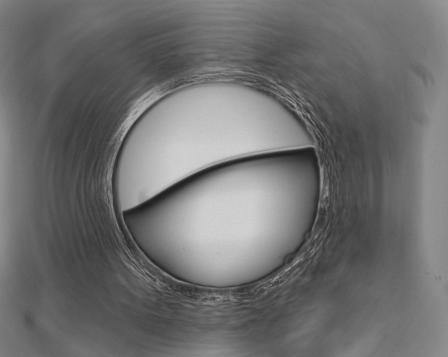 X0000112910099200908241017
