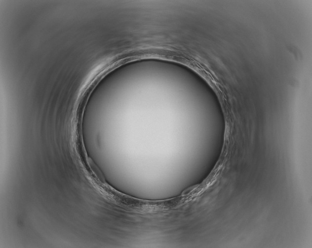 X0000112910101200908241017