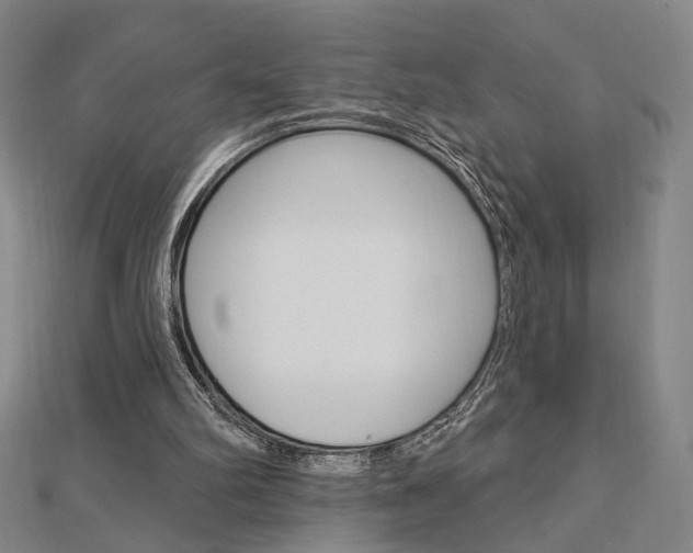 X0000112910102200908241017