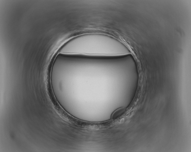 X0000112910103200908241017