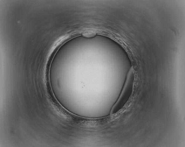 X0000112910104200908241017