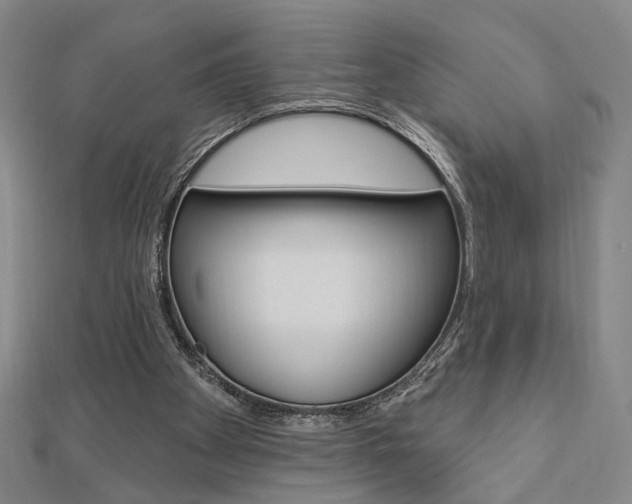X0000112910105200908241017