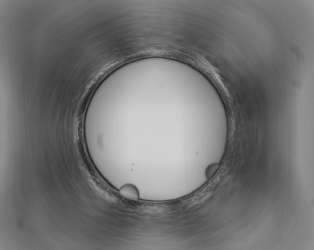 X0000112910106200908241017