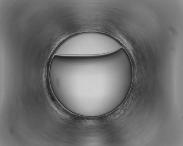 X0000112910107200908241017