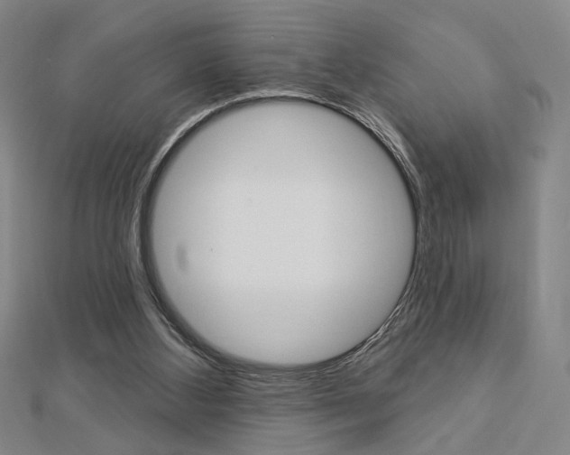 X0000112910108200908241017