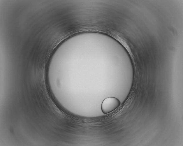 X0000112910109200908241017