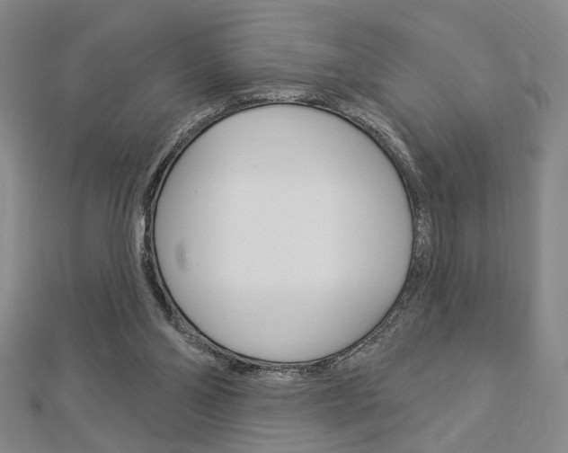 X0000112910110200908241017