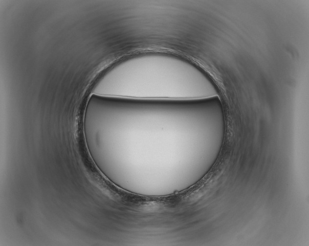 X0000112910111200908241017
