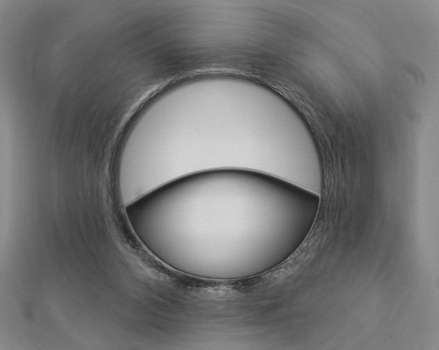 X0000112910112200908241017