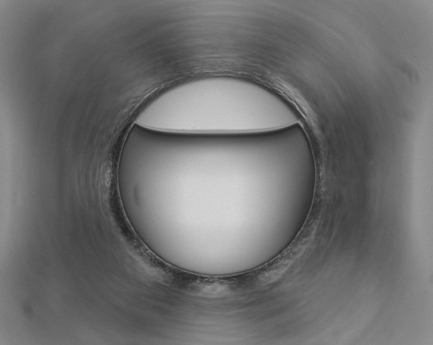 X0000112910113200908241017