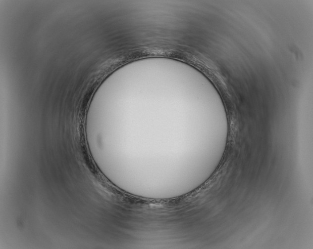 X0000112910114200908241017