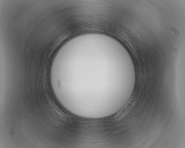X0000112910116200908241017