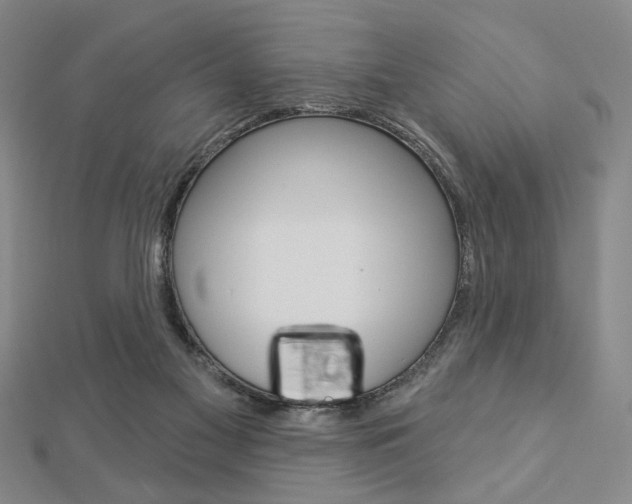 X0000112910117200908241017