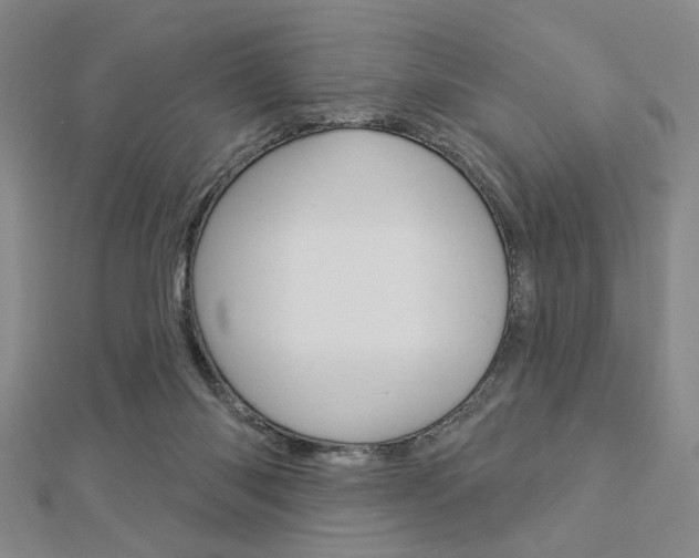 X0000112910118200908241017