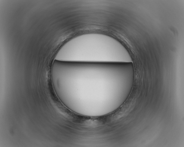 X0000112910119200908241017