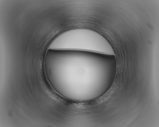 X0000112910120200908241017