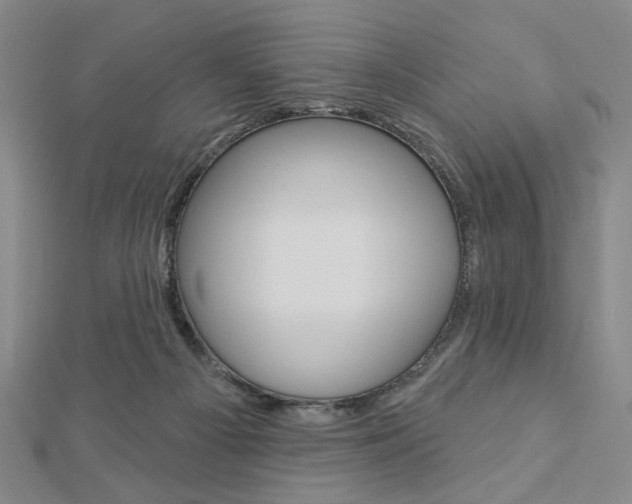 X0000112910121200908241017