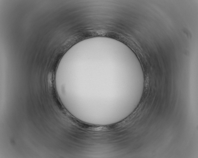 X0000112910122200908241017