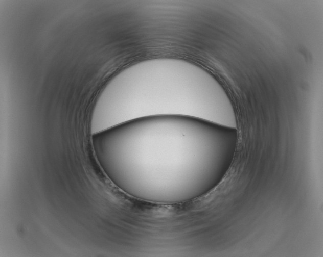X0000112910124200908241017