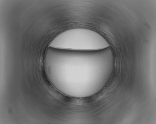 X0000112910127200908241017