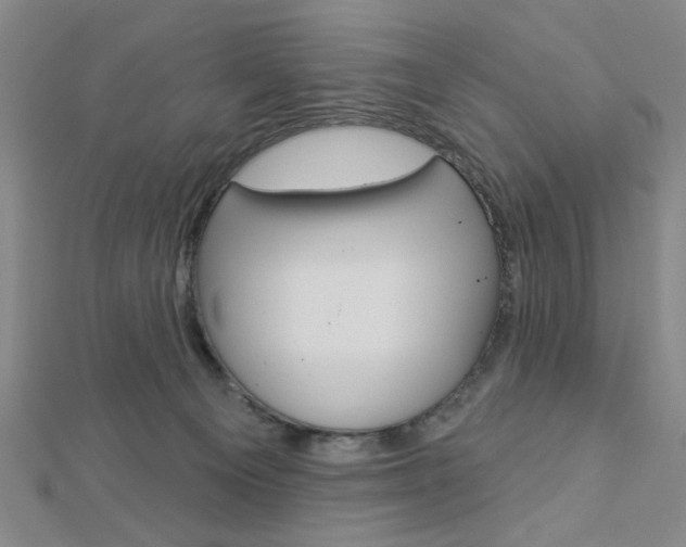 X0000112910129200908241017