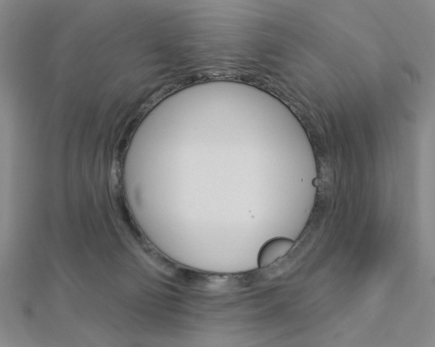 X0000112910130200908241017