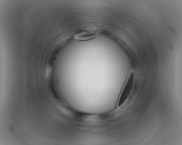 X0000112910132200908241017