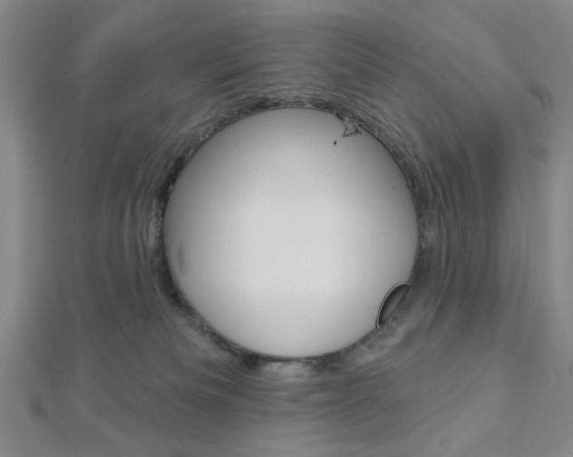 X0000112910133200908241017
