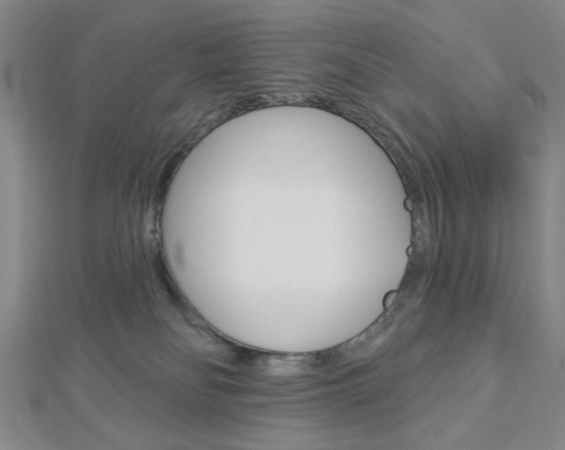 X0000112910134200908241017