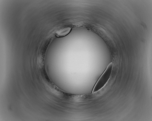 X0000112910136200908241017