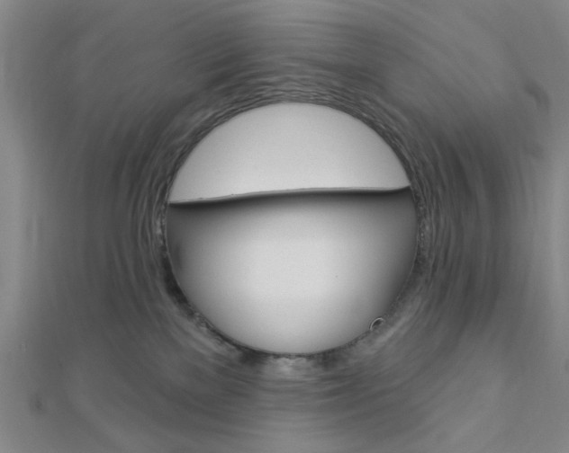 X0000112910137200908241017