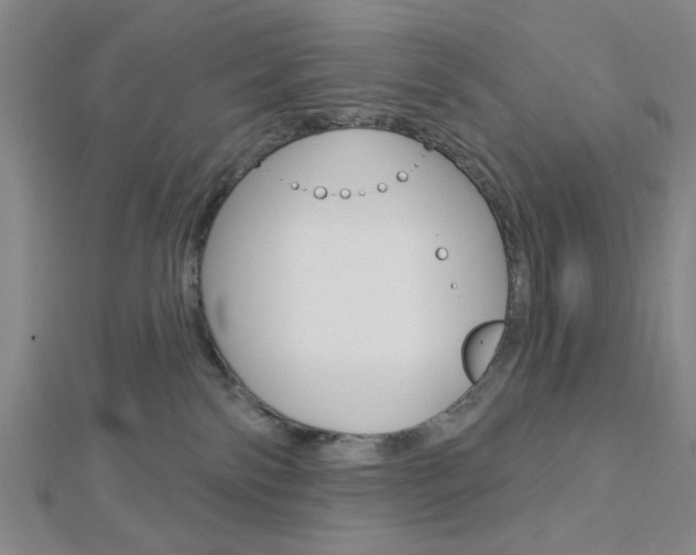 X0000112910138200908241017