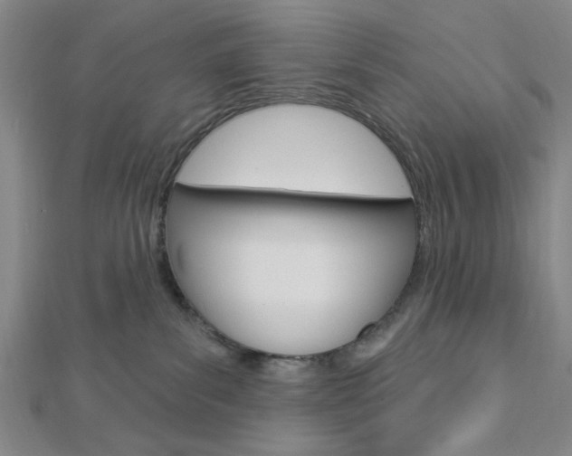 X0000112910139200908241017